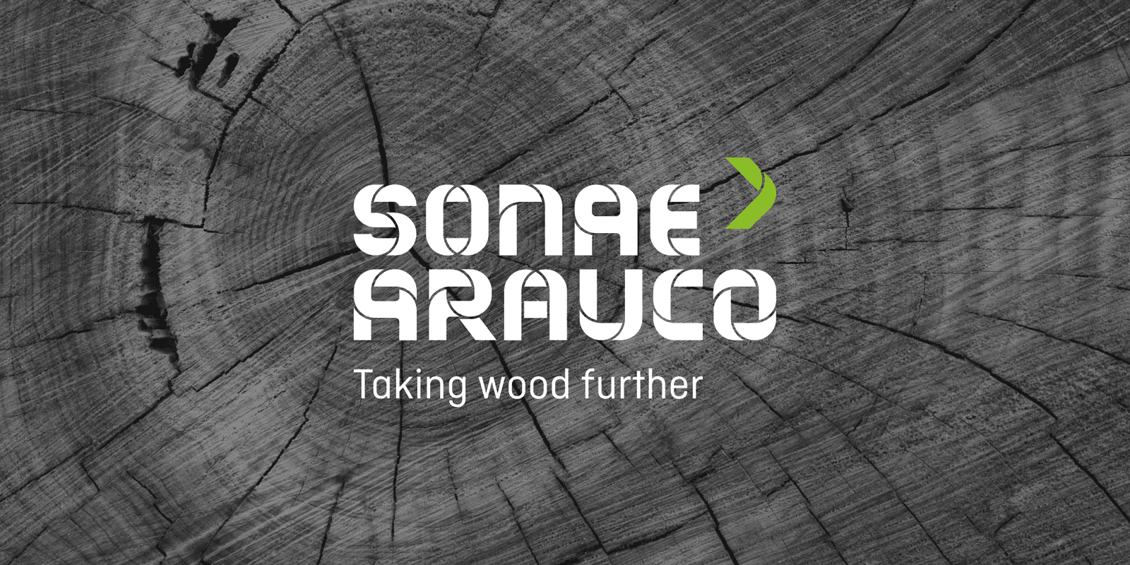MDF Biorefiber X: Sonae Arauco anunță panouri cu fibre reciclate